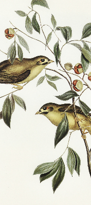 Window blind Birds on a tree