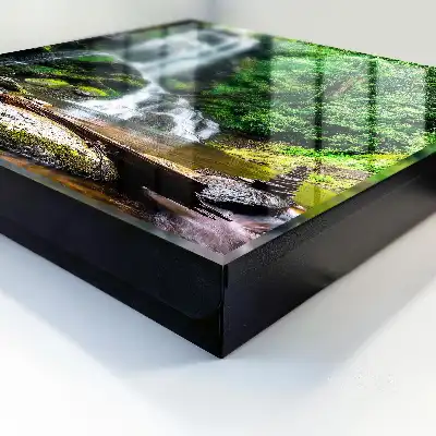 Decorative key box A natural oasis of lush greenery