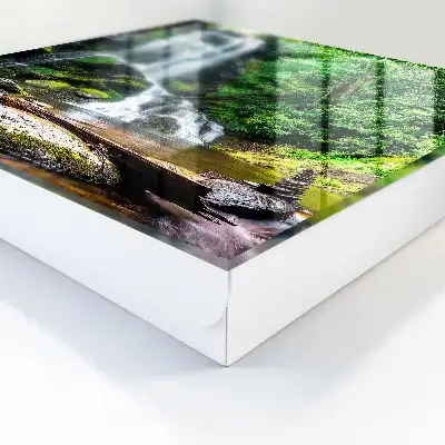 Decorative key box A natural oasis of lush greenery