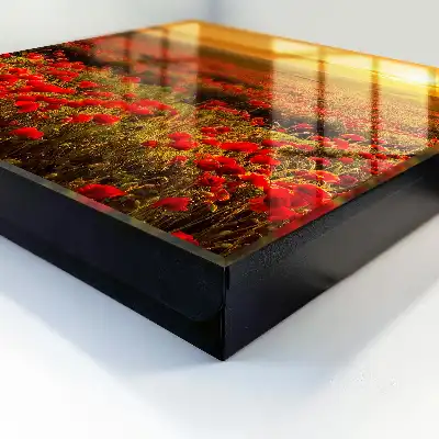 Wall mounted key cabinet Poppy fields at sunset