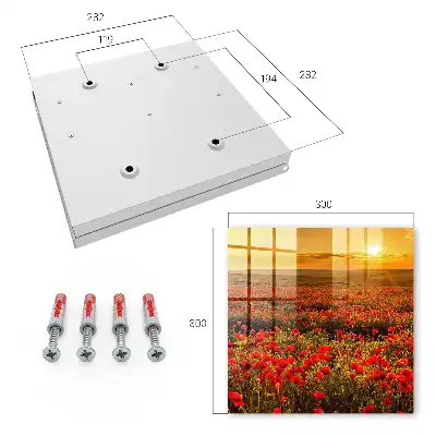 Wall mounted key cabinet Poppy fields at sunset
