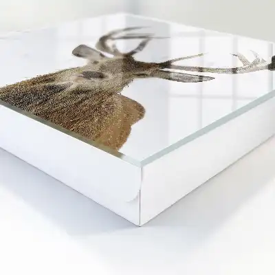 Wall mounted key box A winter deer full of harmony