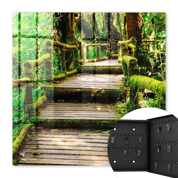 Key box for home Forest bridge in the green forest