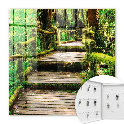 Key box for home Forest bridge in the green forest
