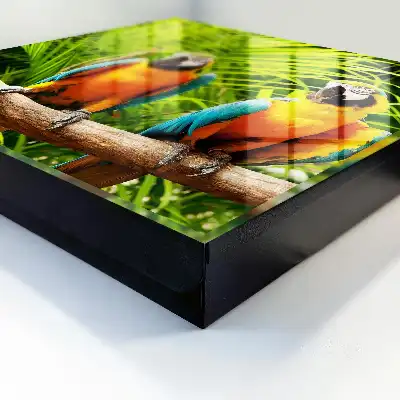 Wall mounted key box Tropical Green Leaf Birds