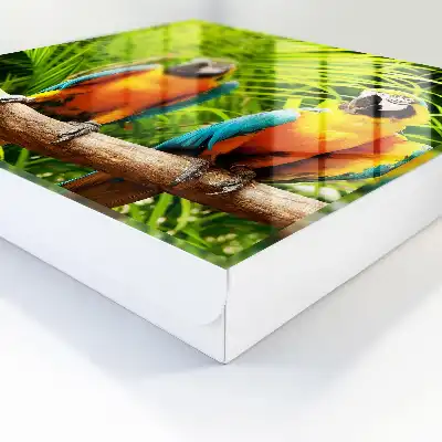 Wall mounted key box Tropical Green Leaf Birds
