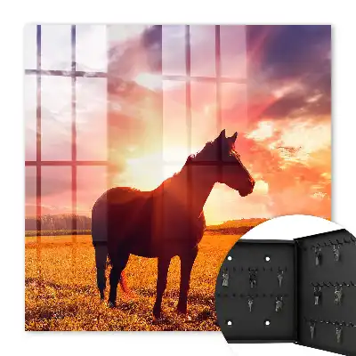 Key box for home A horse in the setting sun