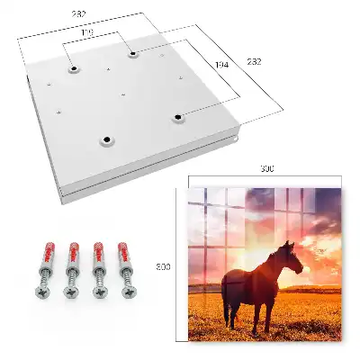 Key box for home A horse in the setting sun