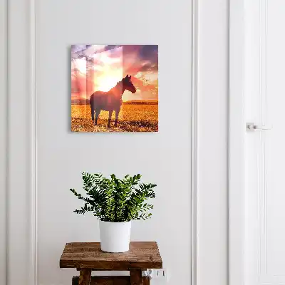 Key box for home A horse in the setting sun