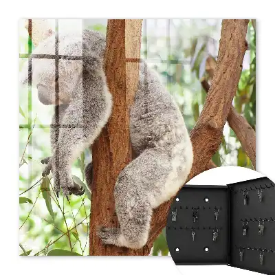 Decorative key box Koala relaxing in natural surroundings