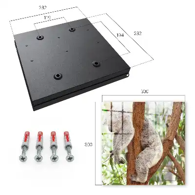 Decorative key box Koala relaxing in natural surroundings