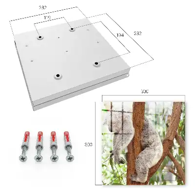Decorative key box Koala relaxing in natural surroundings