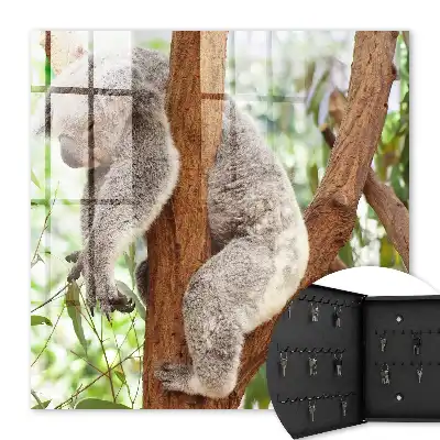Decorative key box Koala relaxing in natural surroundings