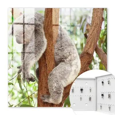 Decorative key box Koala relaxing in natural surroundings