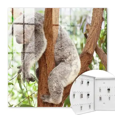 Decorative key box Koala relaxing in natural surroundings