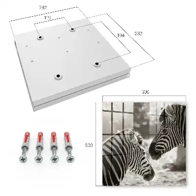 Key cabinet Zebras together in black and white harmony
