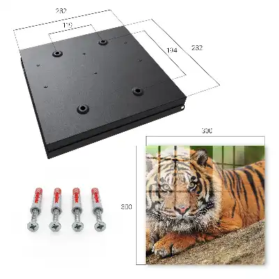 Wall mounted key cabinet Tiger resting with an intense gaze