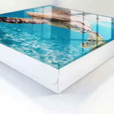 Decorative key box The underwater world of blue water