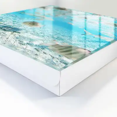 Key box for home Water Life of Harmony