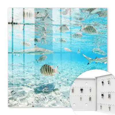 Key box for home Water Life of Harmony