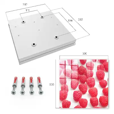 Decorative key box Pink raspberries in the light background