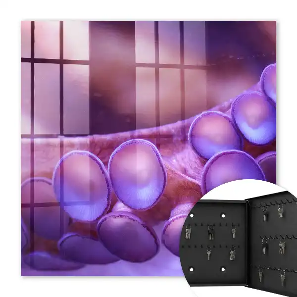 Wall mounted key cabinet Underwater harmony with a mysterious atmosphere