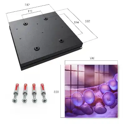 Wall mounted key cabinet Underwater harmony with a mysterious atmosphere