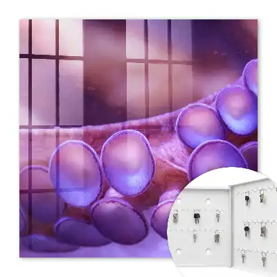Wall mounted key cabinet Underwater harmony with a mysterious atmosphere