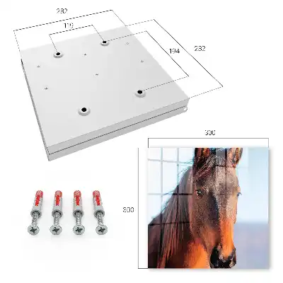 Decorative key box Portrait of a horse in natural light