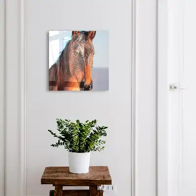 Decorative key box Portrait of a horse in natural light