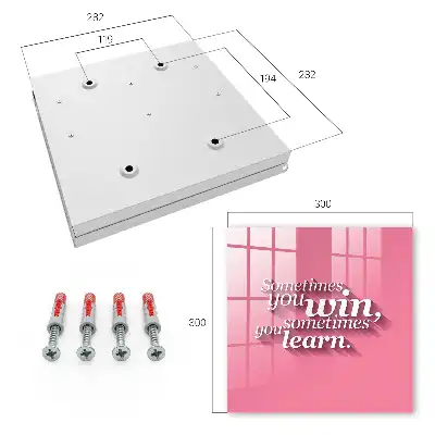 Wall mounted key cabinet Sometimes you win on pink