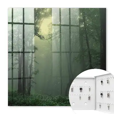 Wall mounted key cabinet Forest fog in the morning mist