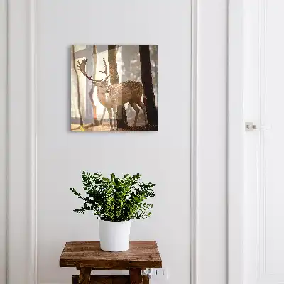 Wall mounted key box Deer in the forest at sunset