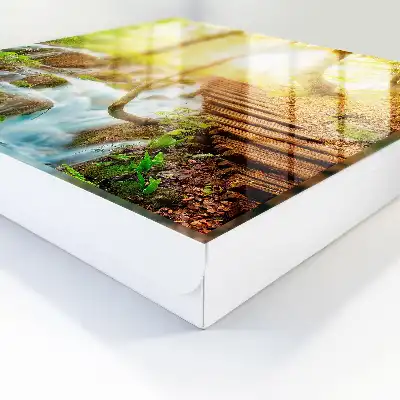 Wall mounted key box A forest corner in the green forest
