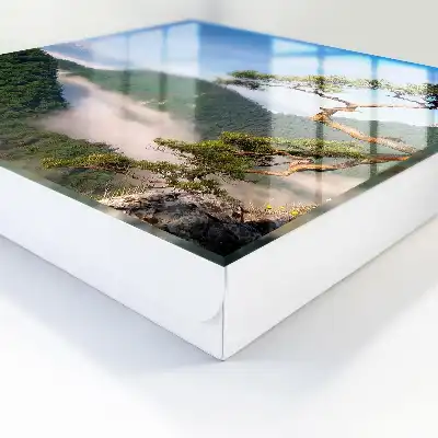 Wall mounted key cabinet Mountain landscape with snow-capped mountains