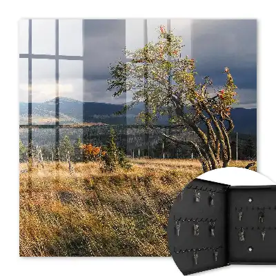 Wall mounted key box Autumn landscape with trees and sky