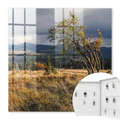 Wall mounted key box Autumn landscape with trees and sky
