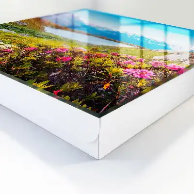 Decorative key box A mountain landscape full of colors