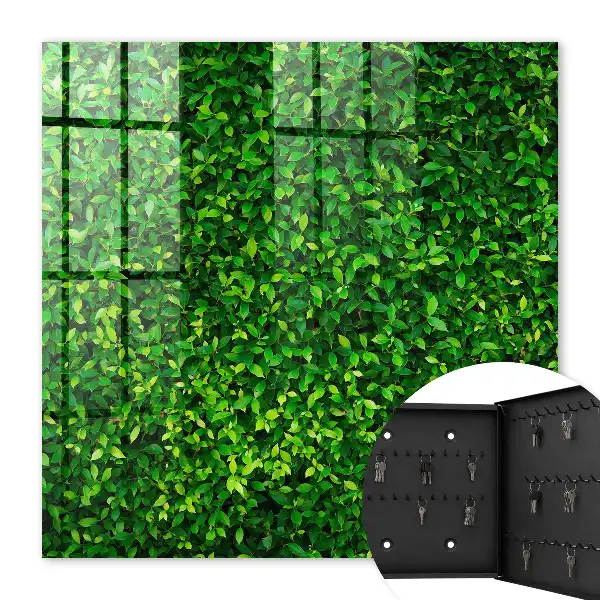 Key cabinet A green garden provides peace
