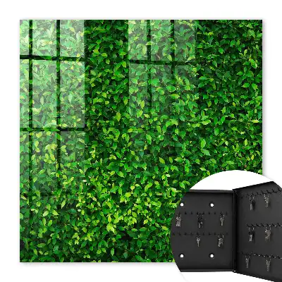 Key cabinet A green garden provides peace