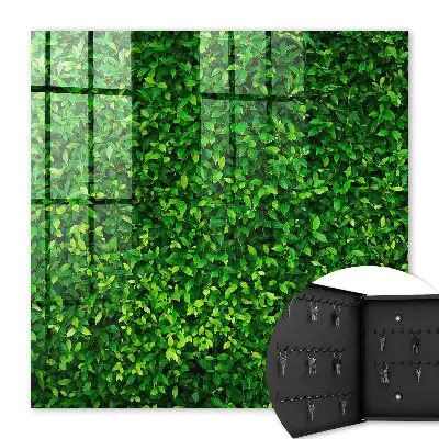 Key cabinet A green garden provides peace