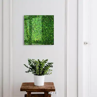 Key cabinet A green garden provides peace
