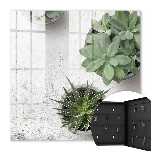 Key cabinet Green succulents in the light background