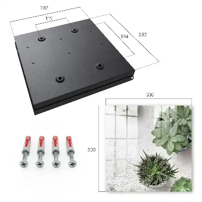 Key cabinet Green succulents in the light background