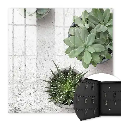 Key cabinet Green succulents in the light background