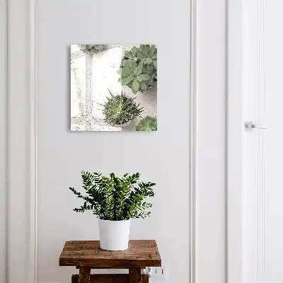 Key cabinet Green succulents in the light background