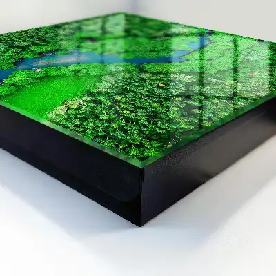 Key cabinet Green forests form a harmonious whole