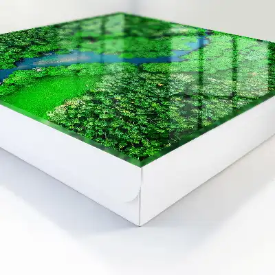 Key cabinet Green forests form a harmonious whole