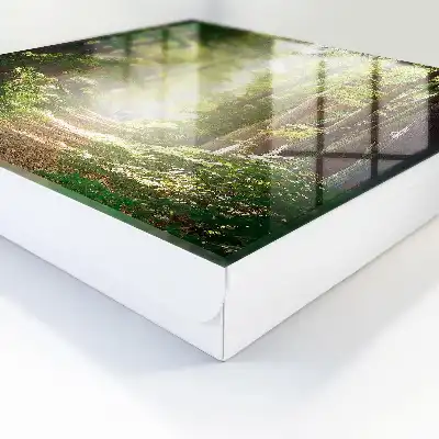 Wall mounted key box Forest landscape with green trees