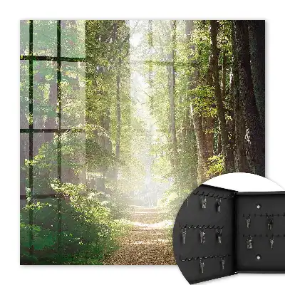 Wall mounted key box Forest landscape with green trees